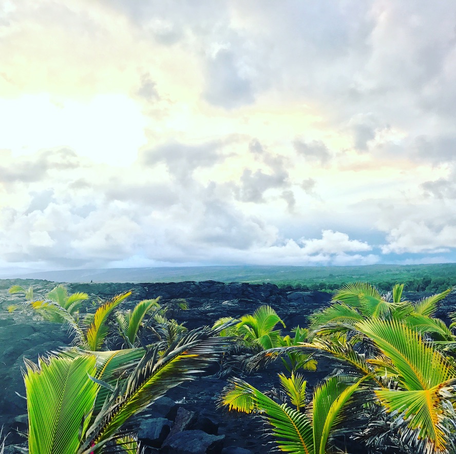 Lava coast near Kehena Beach, Puna