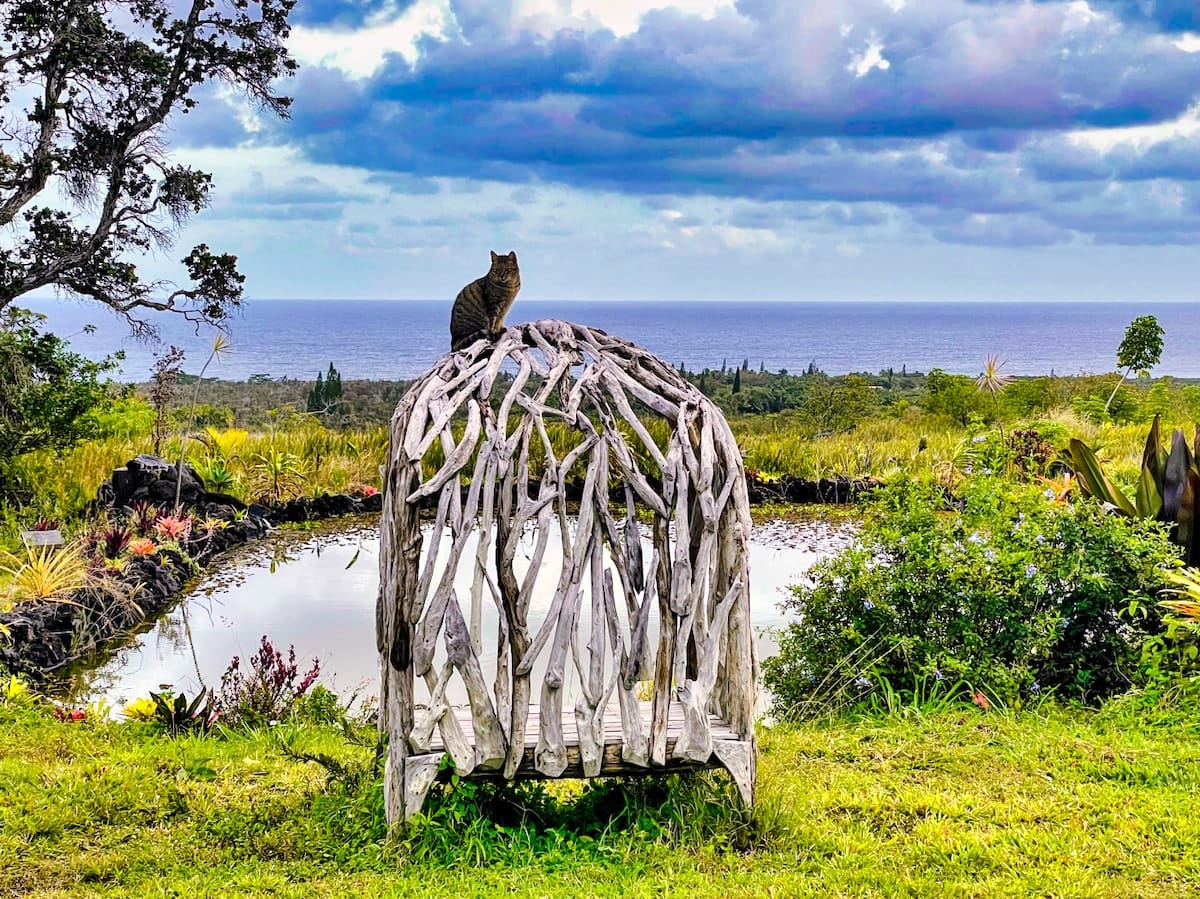 Driftwood dome sculpture by the pond