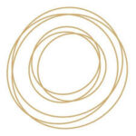 Holistic Centers Network